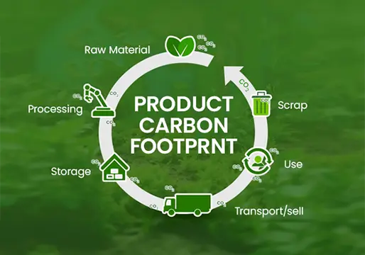 Carbon Footprint (1).webp